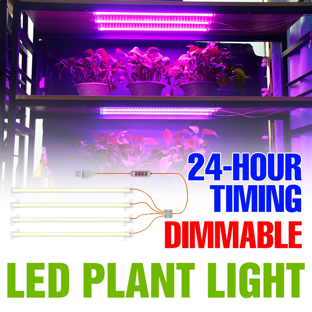 Echeveria Succulent - Barre lumineuse LED d'intérieur pour plantes,