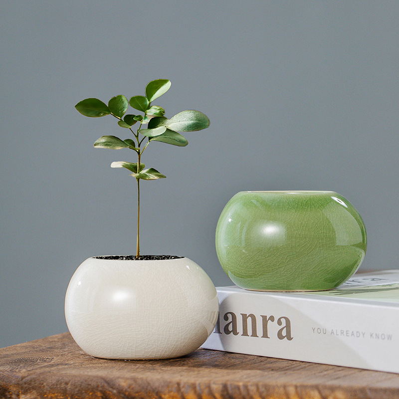 Aloe Vera Pot - Pot de fleurs en céramique glacée