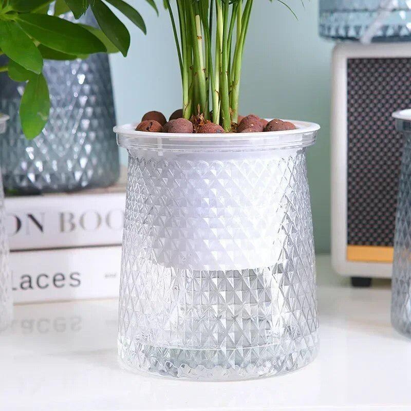 Aloe Vera Pot - Pot de fleurs hydroponique Transparent à