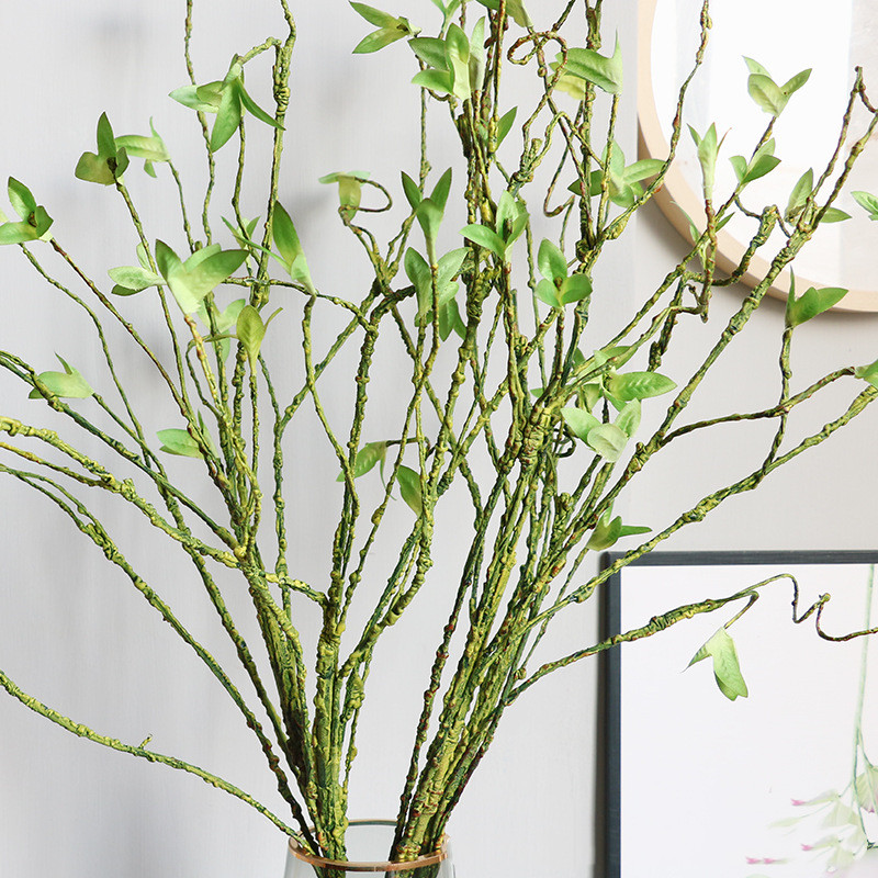 Dracaena Marginata - Vigne Artificielle en Rotin et Plantes