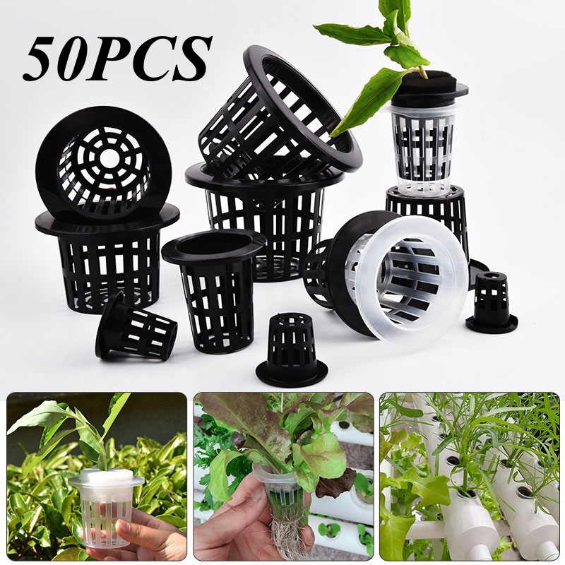 Aloe Vera Pot - 50 pièces de pots de culture