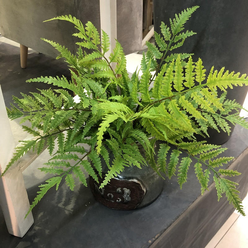Dracaena Marginata - Plantes artificielles pour chambre à coucher,
