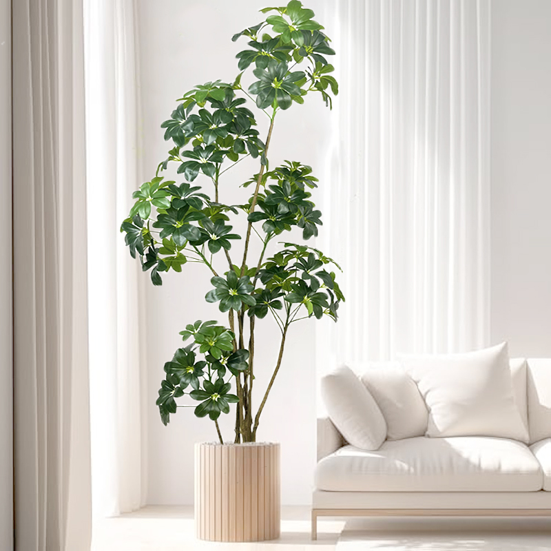 Grand Ficus Tropical Artificie - Dracaena Marginata avis et prix