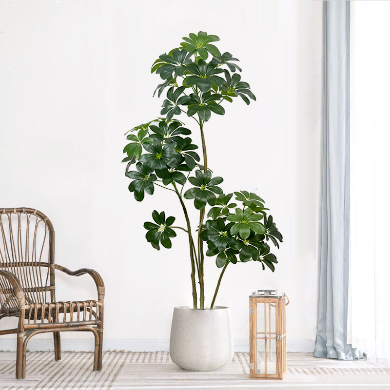 Grand Ficus Tropical Artificie - Dracaena Marginata avis et prix