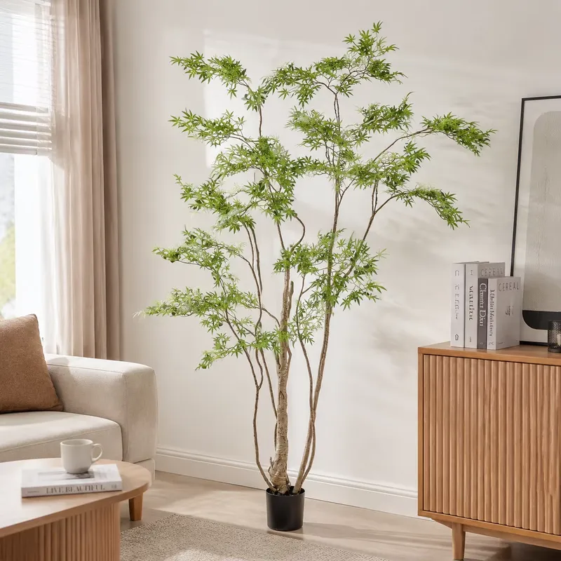 Arbre d'érable japonais artifi - Dracaena Marginata avis et prix