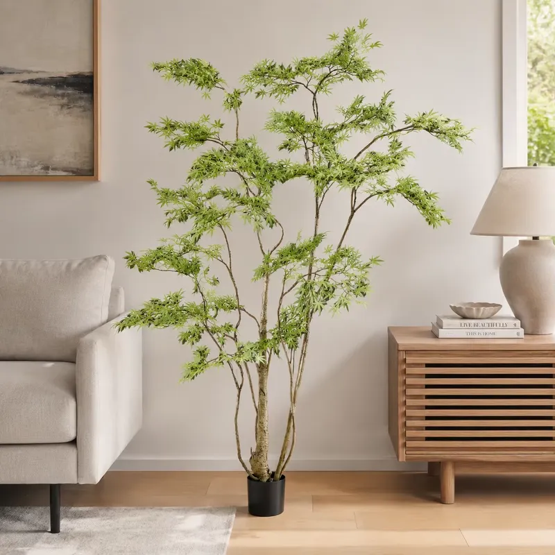 Arbre d'érable japonais artifi - Dracaena Marginata avis et prix
