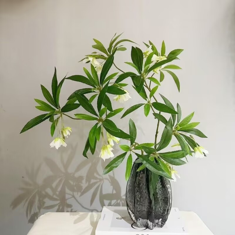 Pierre d'eau artificielle Bany - Dracaena Marginata avis et prix