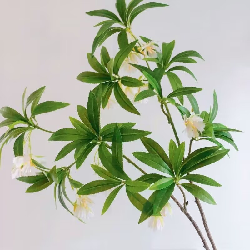 Pierre d'eau artificielle Bany - Dracaena Marginata avis et prix