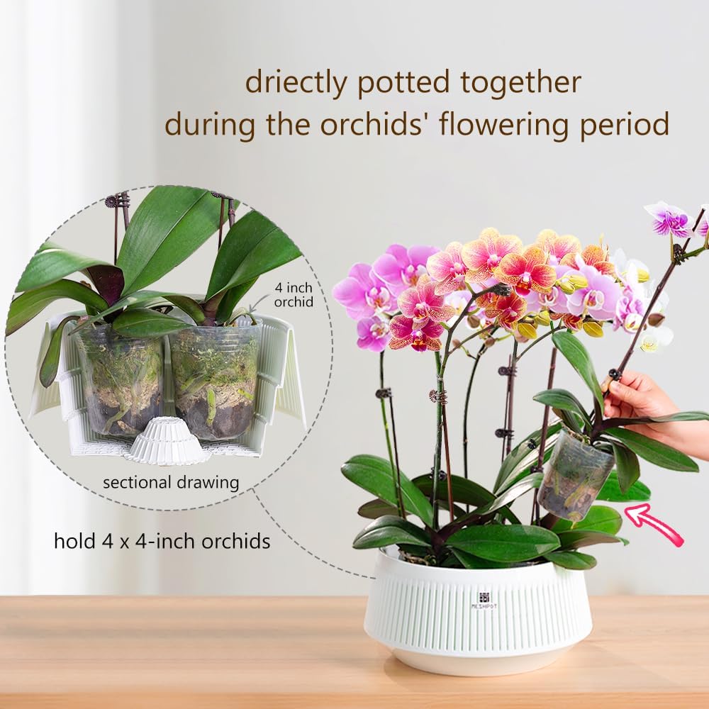 Pot à orchidées en maille avec - Aloe Vera Pot avis et prix