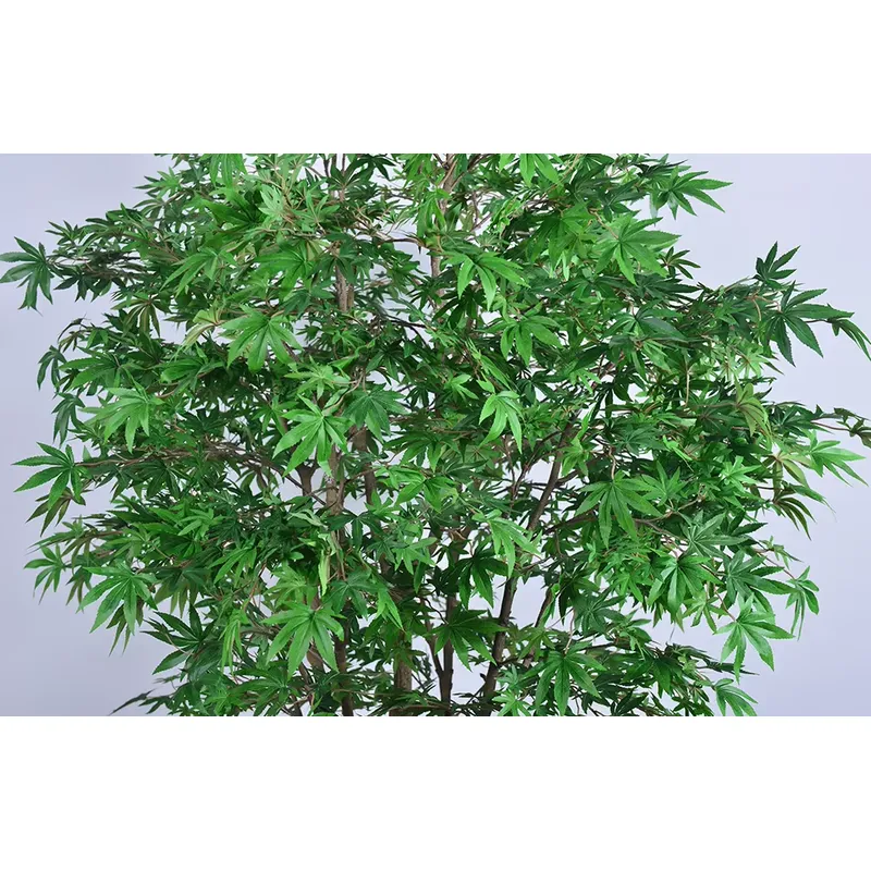 Tendance : Arbre artificiel en - Dracaena Marginata avis et prix