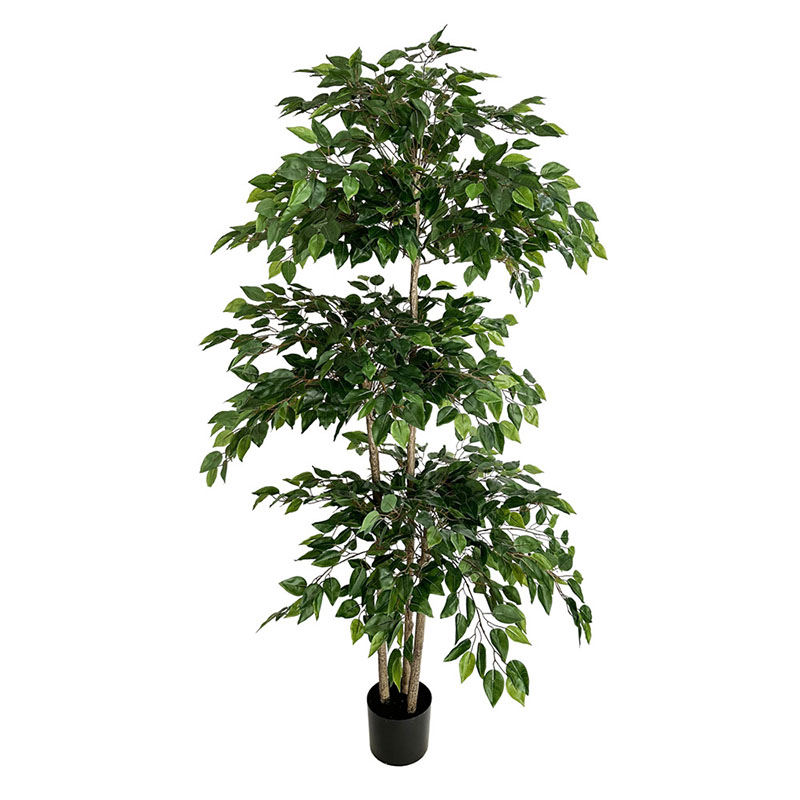 Grand Arbre Artificiel Ficus d - Dracaena Marginata avis et prix