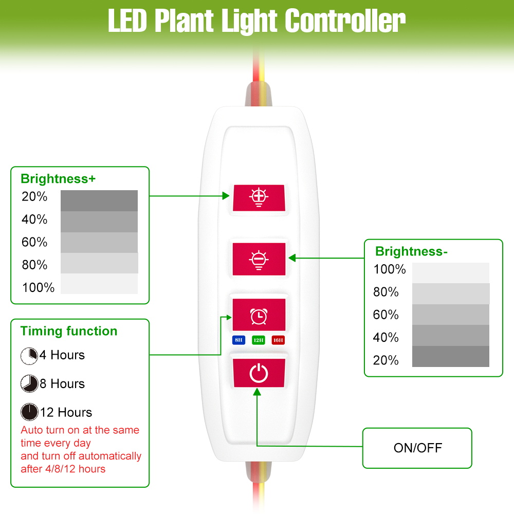 Barre lumineuse LED d'intérieu - Echeveria Succulent avis et prix