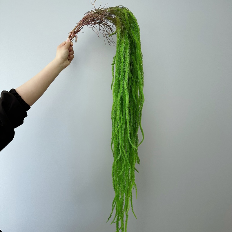 Barbe de saule artificielle po - Monstera Adansonii avis et prix