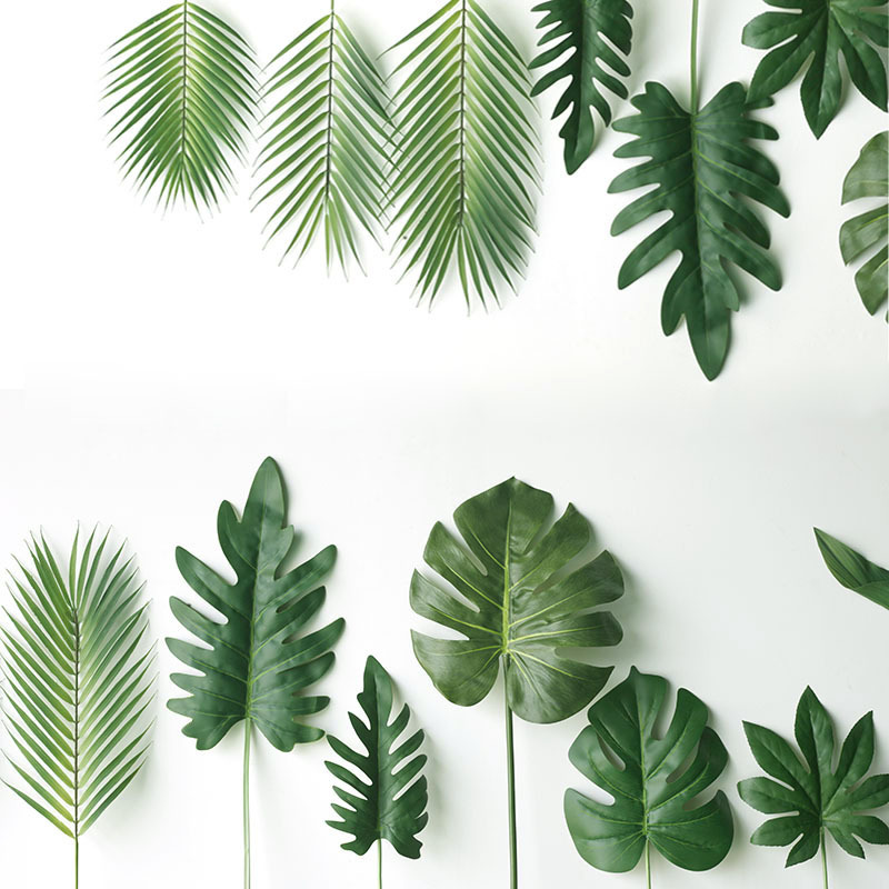 Plante artificielle de cuir ch - Monstera Adansonii avis et prix