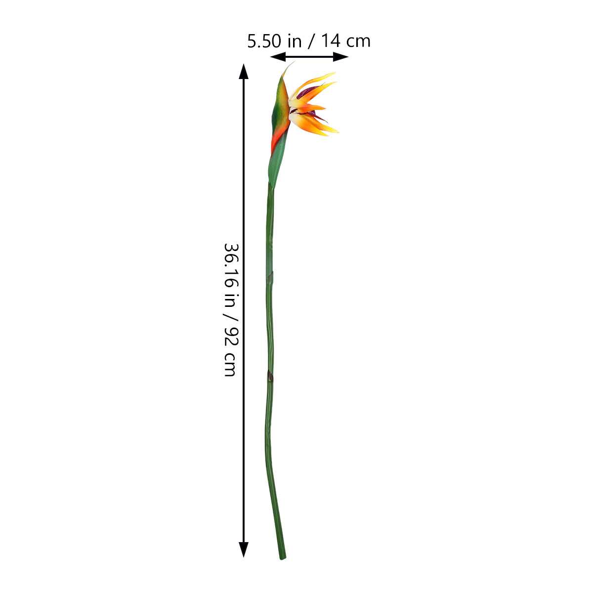 Fleur artificielle de Strelitz - Bird Paradise Strelitzia avis et prix