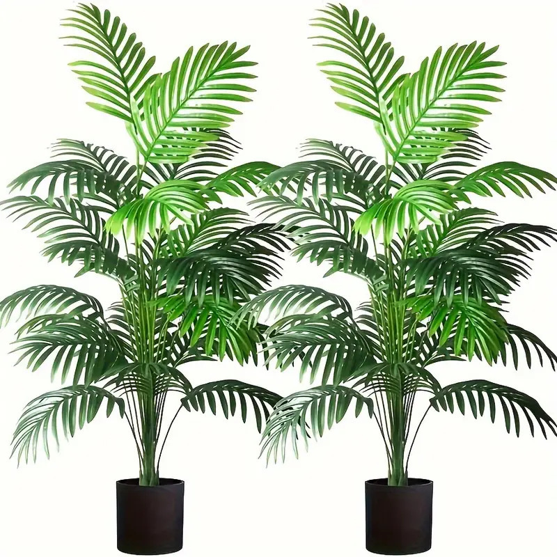 24 feuilles Areca palmier plan - Monstera Adansonii avis et prix