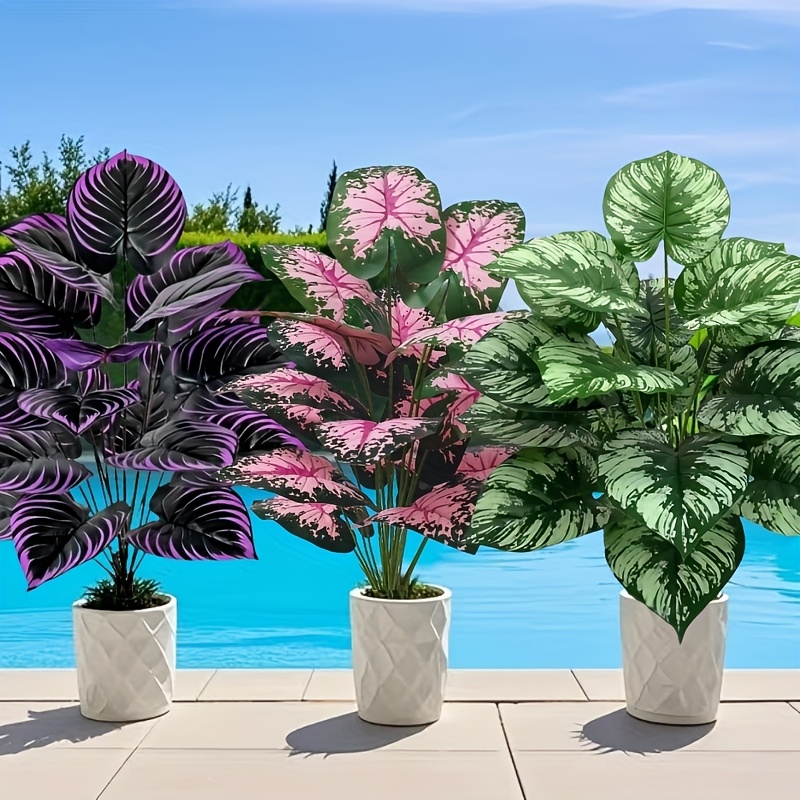 Grand ensemble de plantes vert - Monstera Adansonii avis et prix