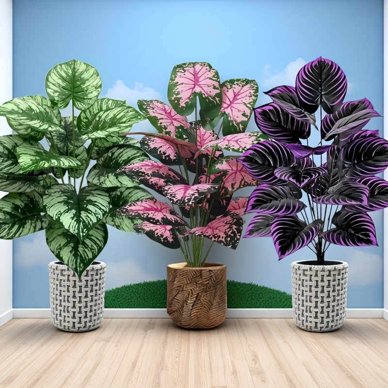 Grand ensemble de plantes vert - Monstera Adansonii avis et prix