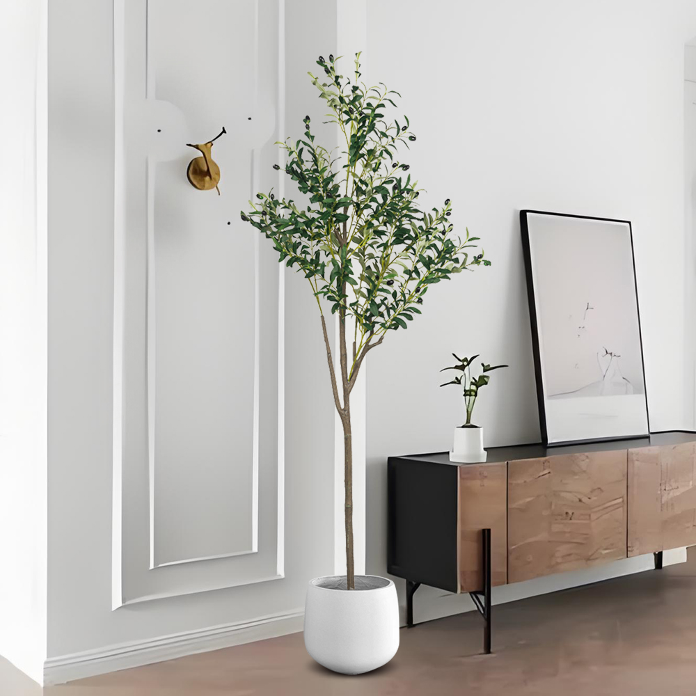 Grands plantes d'olivier artif - Dracaena Marginata avis et prix
