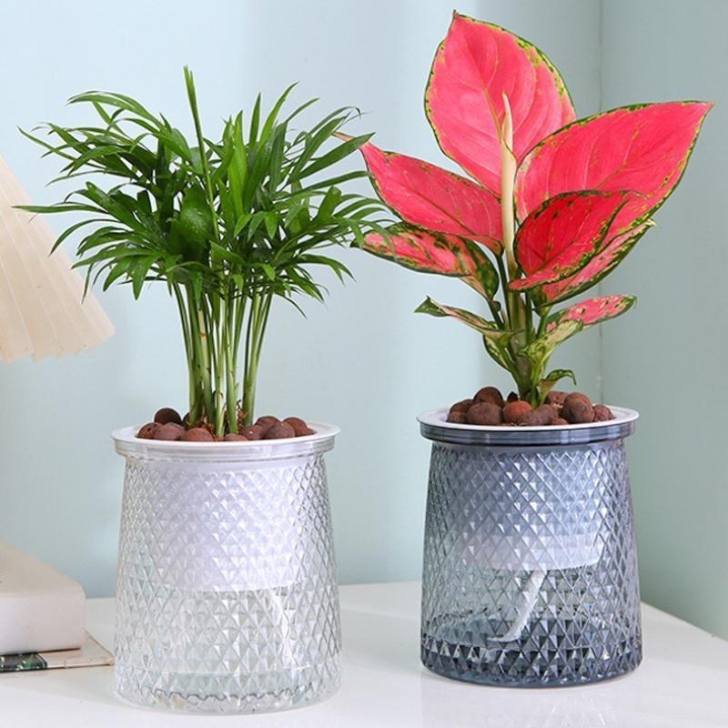 Pot de fleurs hydroponique Tra - Aloe Vera Pot avis et prix