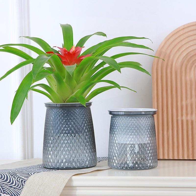 Pot de fleurs hydroponique Tra - Aloe Vera Pot avis et prix