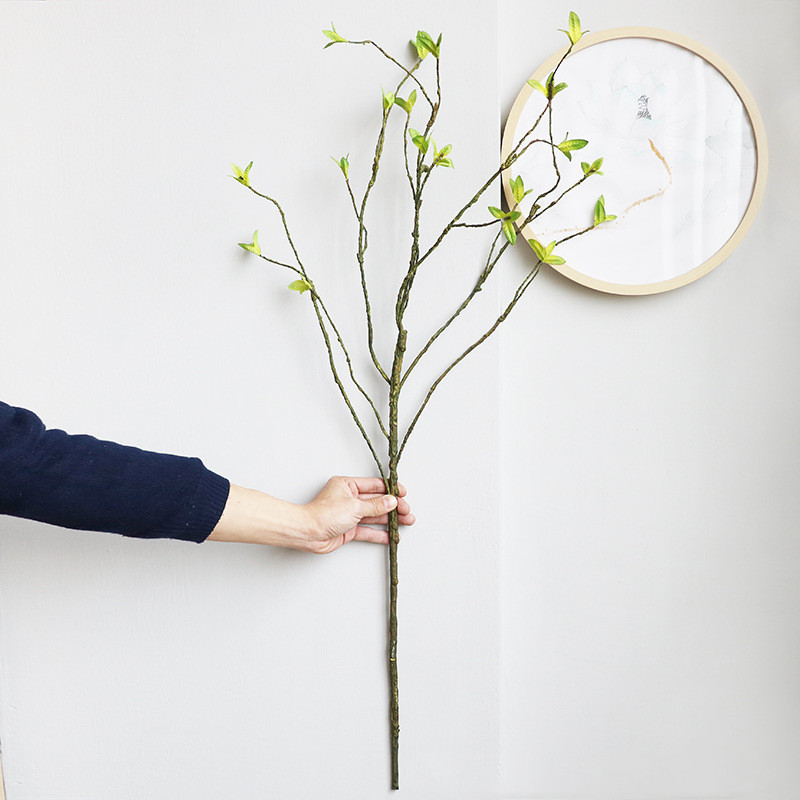 Vigne Artificielle en Rotin et - Dracaena Marginata avis et prix