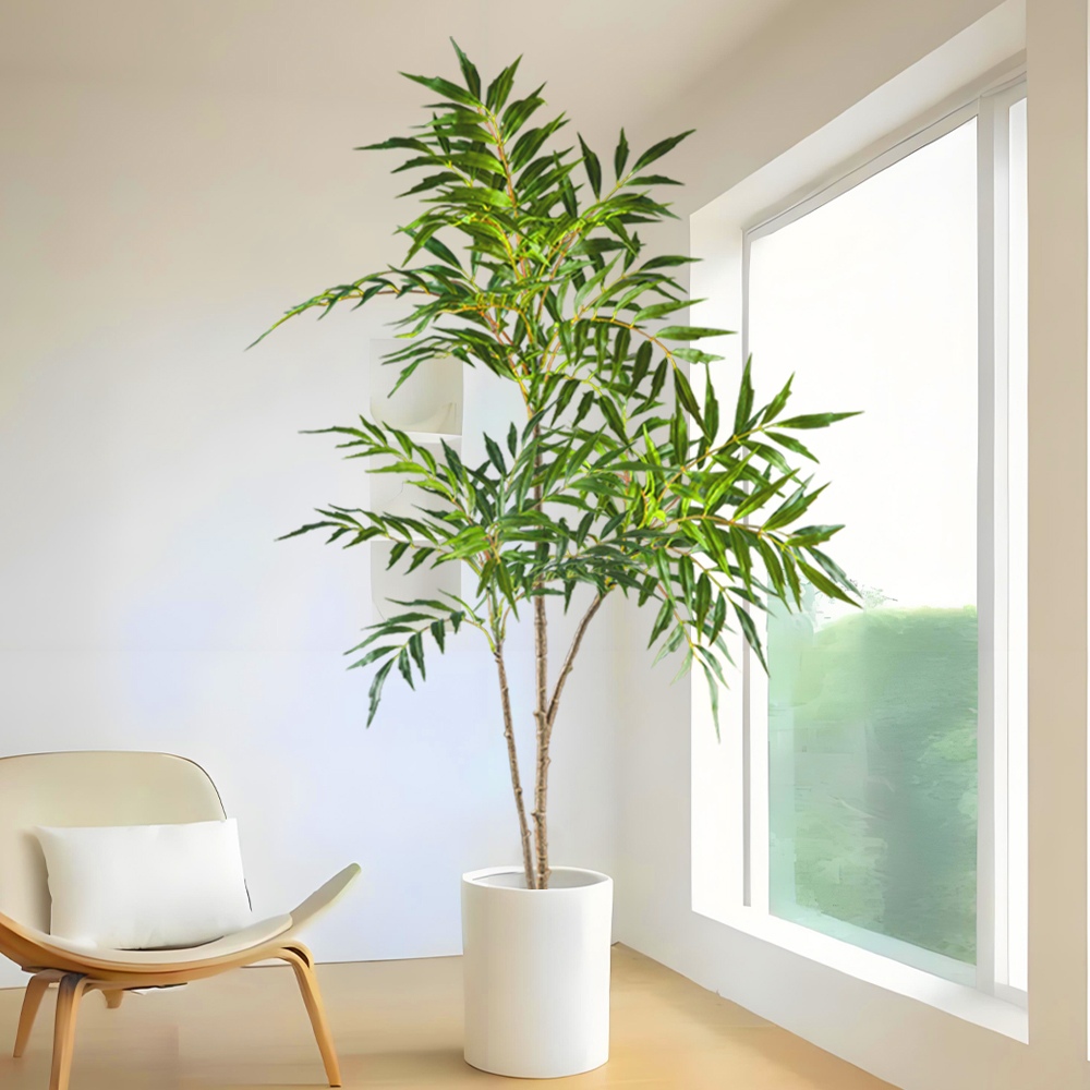 Grands plantes Nandina artific - Dracaena Marginata avis et prix