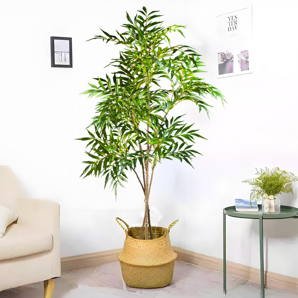 Grands plantes Nandina artific - Dracaena Marginata avis et prix