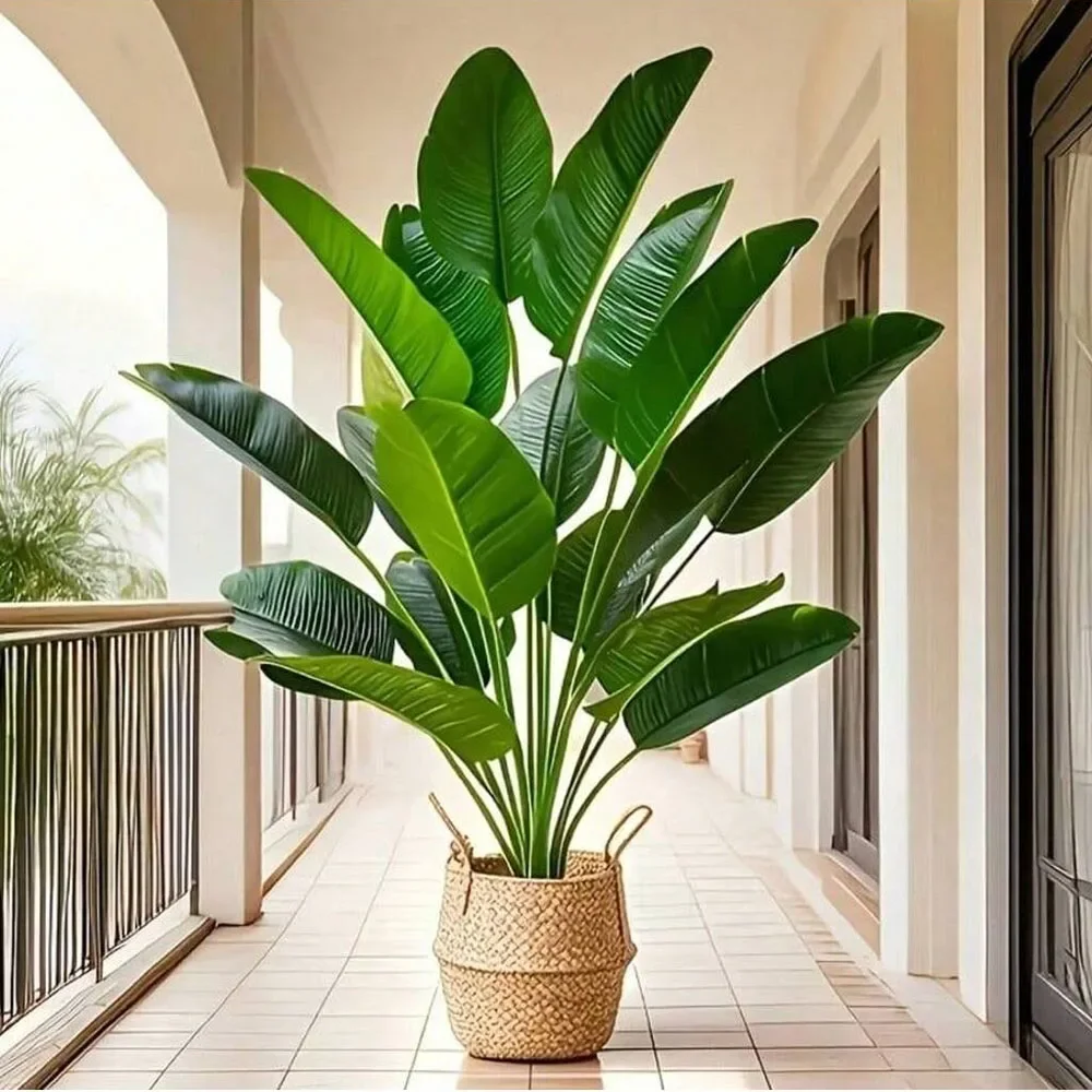 1pc 18 feuilles plantes artifi - Monstera Adansonii avis et prix