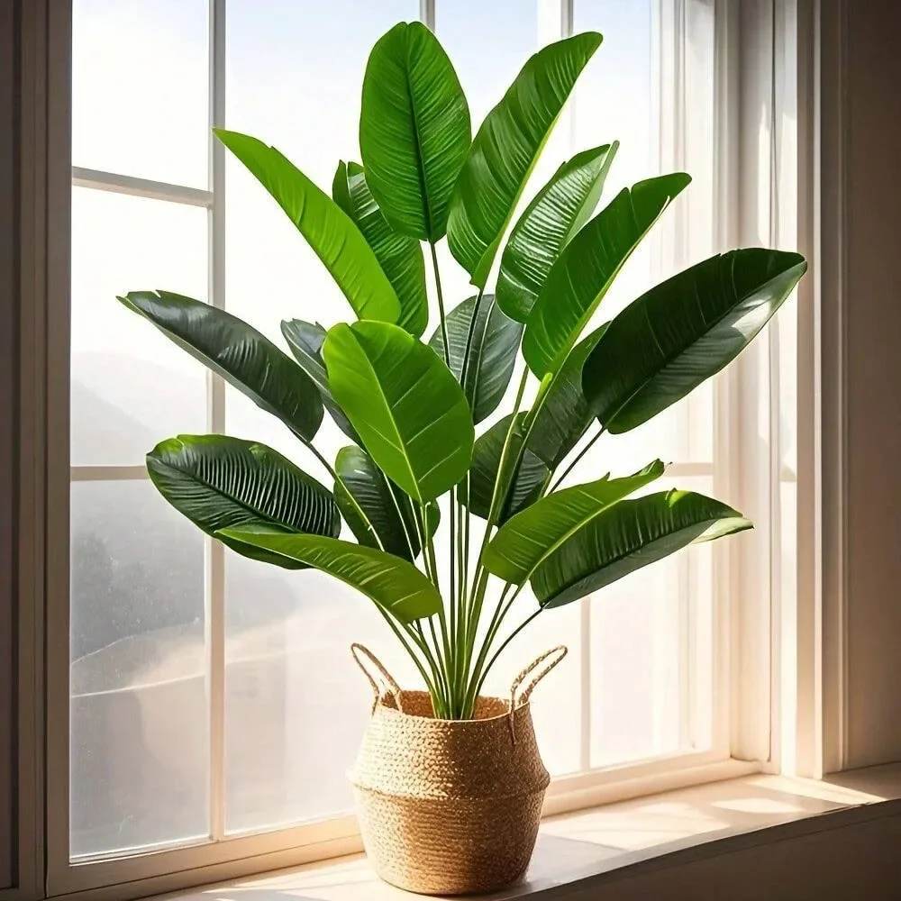 1pc 18 feuilles plantes artifi - Monstera Adansonii avis et prix