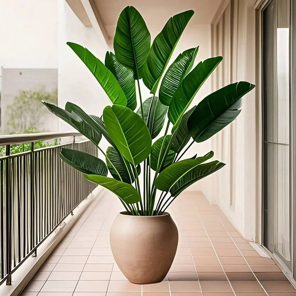 1pc 18 feuilles plantes artifi - Monstera Adansonii avis et prix