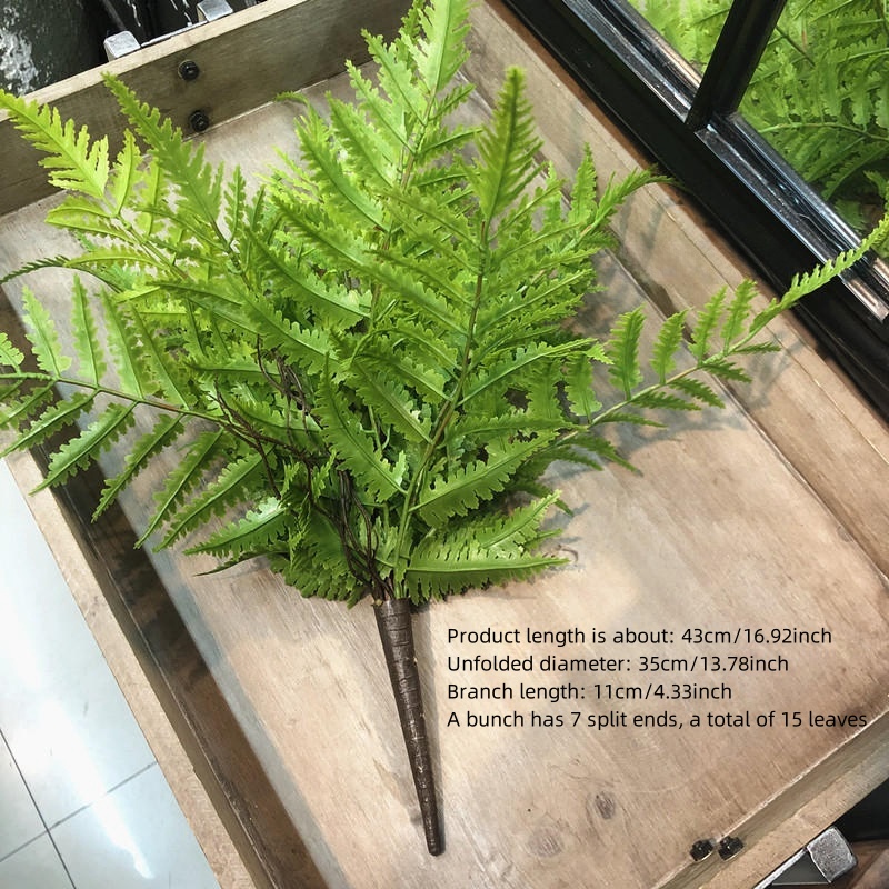 Plantes artificielles pour cha - Dracaena Marginata avis et prix
