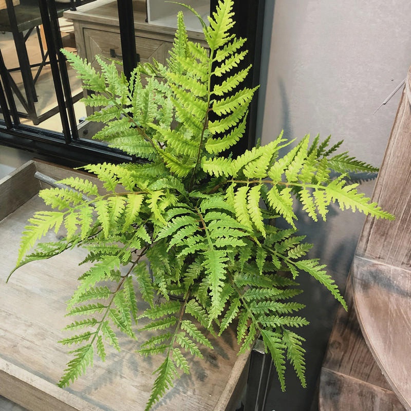Plantes artificielles pour cha - Dracaena Marginata avis et prix
