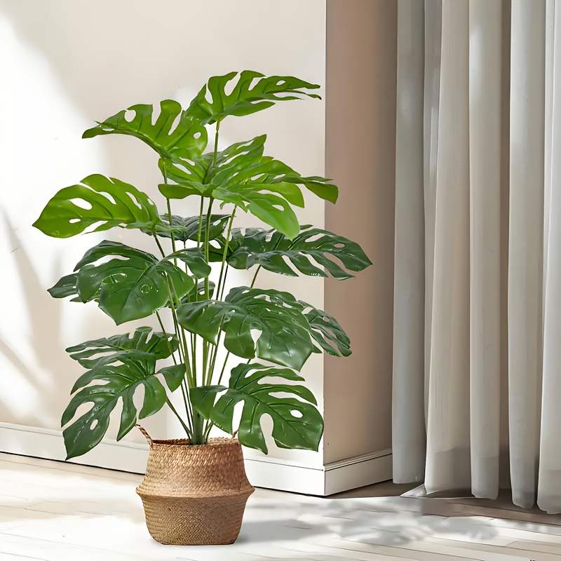 Plantes de palmier artificiell - Monstera Adansonii avis et prix