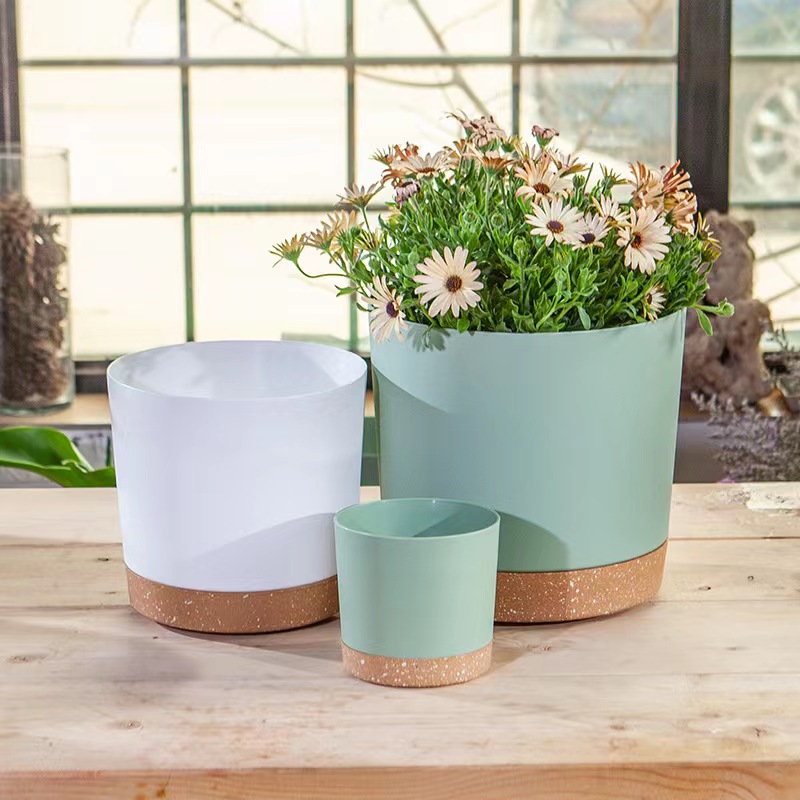Pots pour plantes, grands pots - Aloe Vera Pot avis et prix