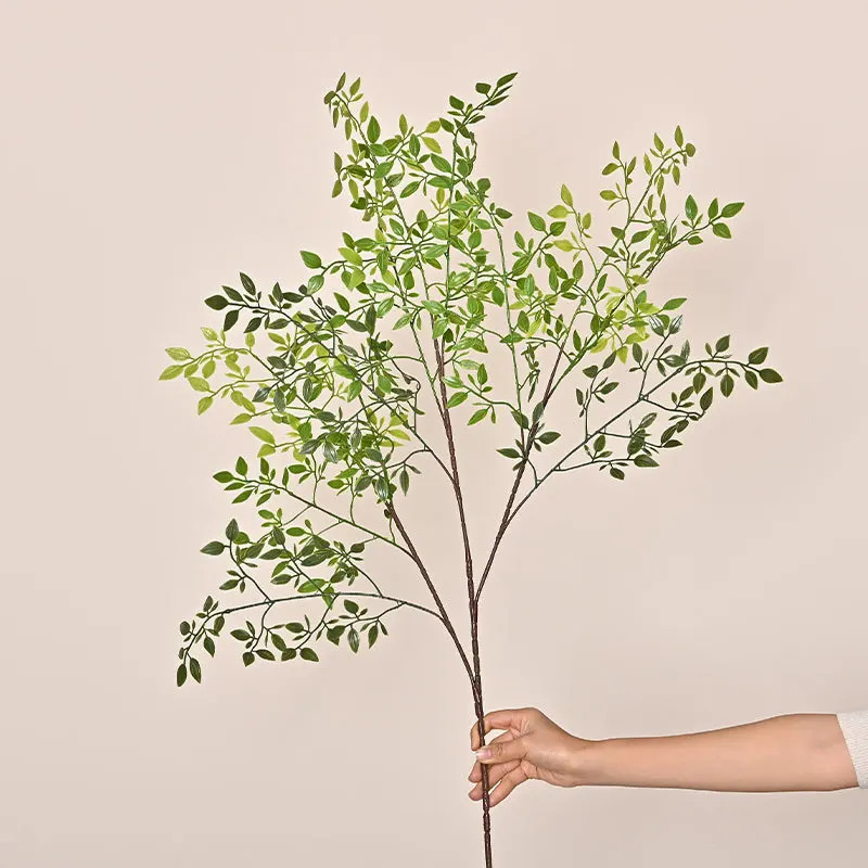 Plantes vertes artificielles à - Dracaena Marginata avis et prix