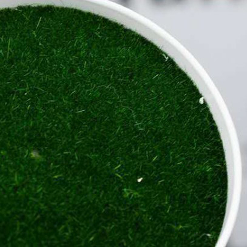Pot de plantes artificielles,  - Aloe Vera Pot avis et prix