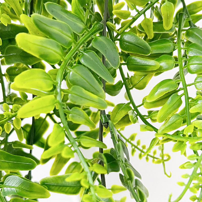 Feuilles de fougère persane 90 - Monstera Adansonii avis et prix