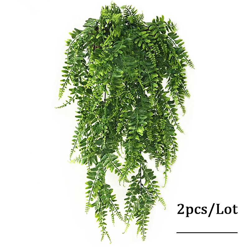 Feuilles de fougère persane 90 - Monstera Adansonii avis et prix