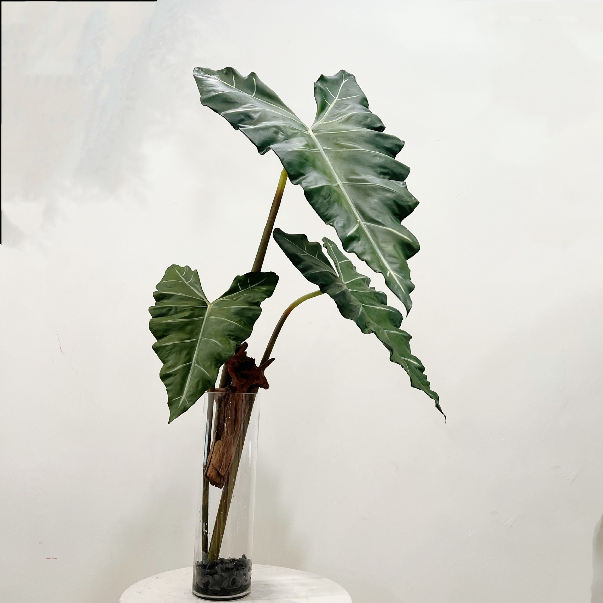 Plante verte en PU simulée, se - Monstera Adansonii avis et prix