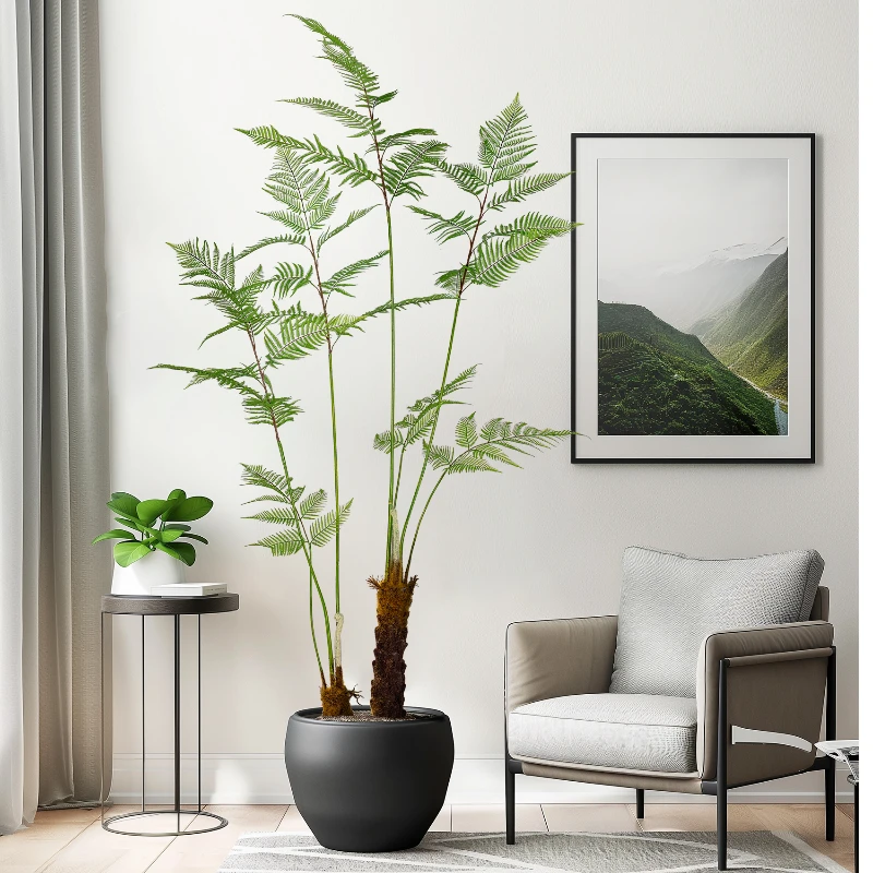 Fausse Fougère en Forme de Sin - Dracaena Marginata avis et prix
