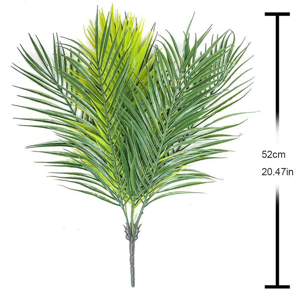 20,47 pouces 9 feuilles de pla - Monstera Adansonii avis et prix
