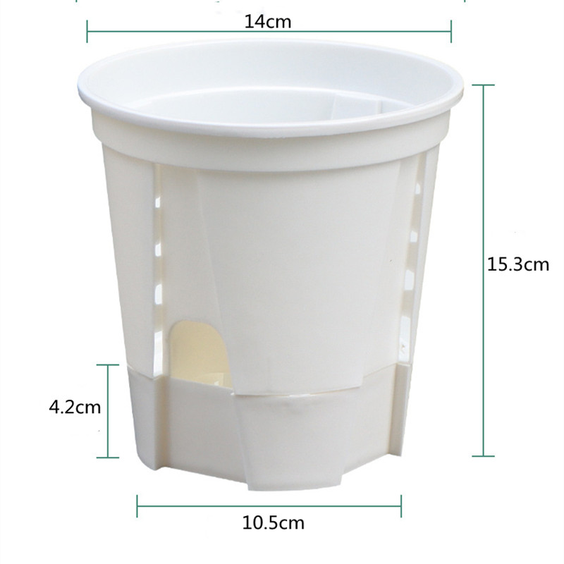 Pot d'orchidée transparent ave - Aloe Vera Pot avis et prix