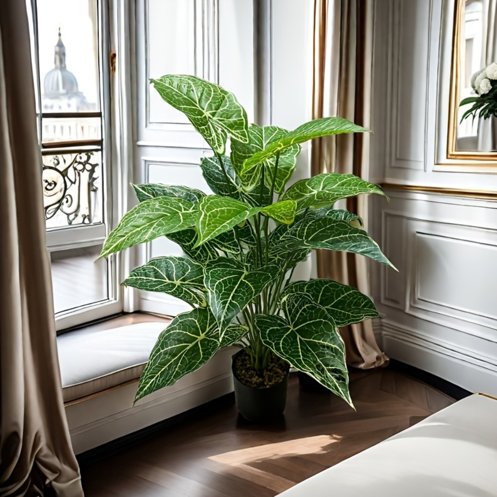 Feuilles de Taro féeriques ver - Monstera Adansonii avis et prix